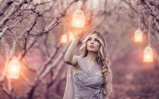 Enchanted winter tree lantern birdcage - the branch free wallpaper