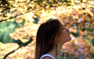 Woman tree frisbee autumn blurry - a frisbee free wallpaper
