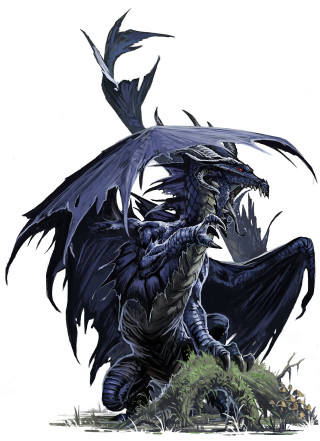 Dragon wings spread drawing art - a rock free wallpaper