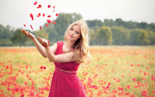 Red dress woman flowers field - a field of flowers free wallpaper