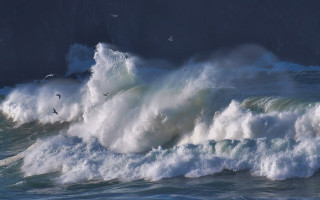 Large wave shore birds stormy - a dark sky in the background free wallpaper