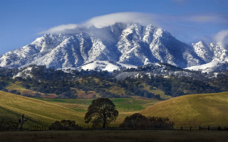 Snowy mountain fence tree lake - a tree in the foreground free wallpaper