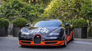 Bugatti fence bush driveway dahlov - a bugatti car free wallpaper