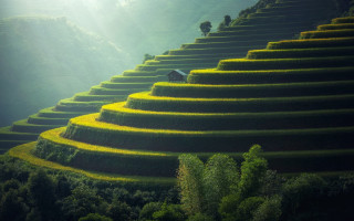 House hill stairs trees nature - stair free wallpaper