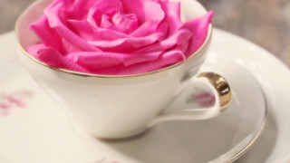 Pink rose white cup gold - a gold free wallpaper