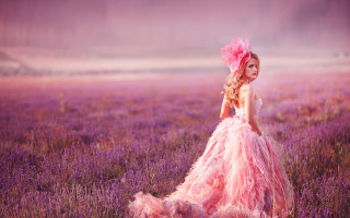 Pink dress girl lavender field - a field of lavender free wallpaper