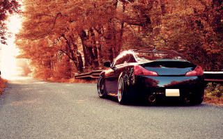 Black sports car woods bridge - the background and a bridge in the foreground free wallpaper