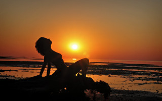 Woman beach sunset silhouette dog - a log on free wallpaper