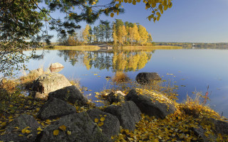 Autumn lake bridge leaves forest - rock and trees free wallpaper