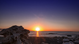 Sunset beach tree stump ocean - andrew geddes free wallpaper