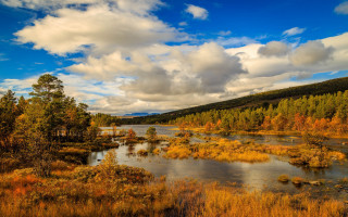 River trees grass cloudy sky 2 - impressionist free wallpaper