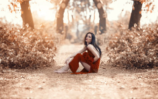 Woman red dress forest autumn 2 - tree and bushes free wallpaper for desktop