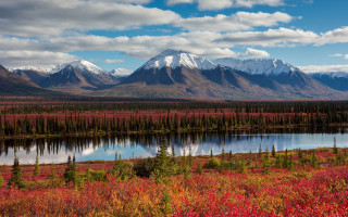 Lake mountains trees autumn bridge - the ground and grass free wallpaper