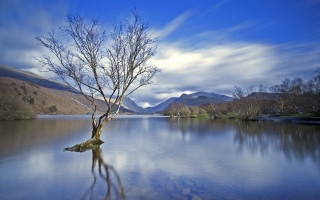 Lone tree lake mountains clouds - the middle of a lake free wallpaper