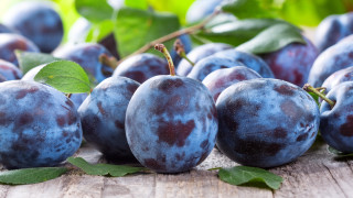 Plums leaves wooden table blurry 2 - a green leafy branch free wallpaper