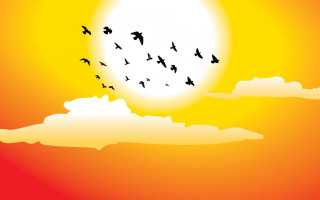Birds sunset ocean silhouette mountain - ocean free wallpaper