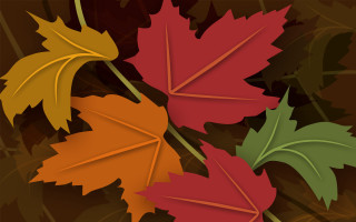 Leaves brown background digital plant - a brown background free wallpaper