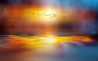 Sunset birds water city mystical - a painting of a sunset free wallpaper