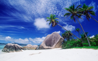 Beach palm trees rock sky 2 - a large rock free wallpaper