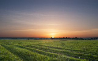 Sunset field grass trees mountain - anamorphic free wallpaper for desktop