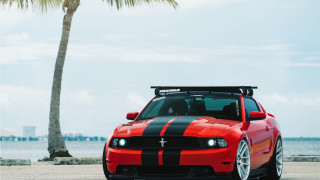 Red sports car palm beach - a blue sky and water free wallpaper