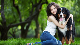 Woman hugging dog park nature - a stock photo free wallpaper