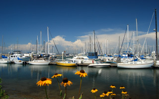 Boats yellowflowers summer vibrancy military - the water together free wallpaper
