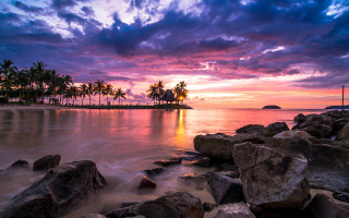 Sunset beach rocks palm trees 3 - the foreground and a body of water free wallpaper