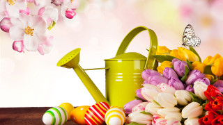Watering can flowers easter eggs 2 - andries stock free wallpaper