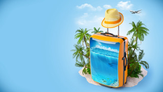 Suitcase dolphin hat beach palm - surreal free wallpaper