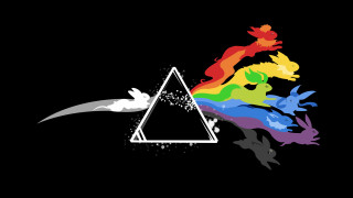 Triangle rainbow bird flying black - a triangle free wallpaper