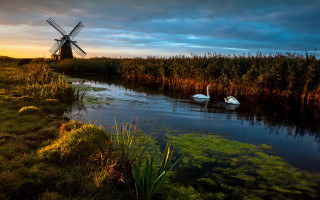 Swans pond windmill sunset clouds - sunset free wallpaper