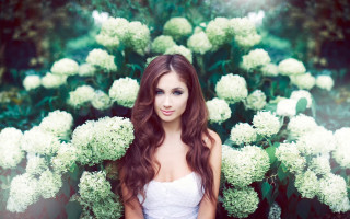 Woman white dress flower bush - an impressionist painting free wallpaper for desktop