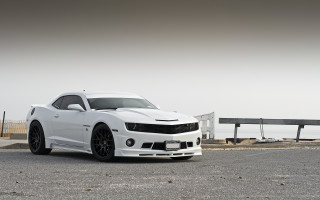White car road fence water - matte finish free wallpaper for desktop