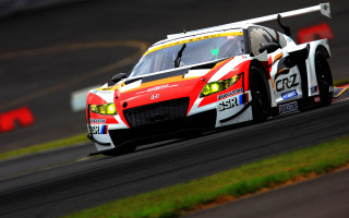 Red white racecar number front - the front of its free wallpaper