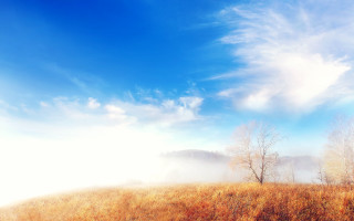Field trees blue sky clouds 17 - volumetric fog free wallpaper