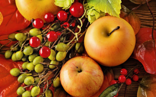 Harvest fall vibrant fruits vegetables - fall vibrancy free wallpaper