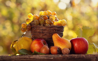 Basket fruit table tree automn - fall vibrancy free wallpaper
