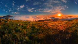 Mountain sunset field cityscape forest - naturalism free wallpaper