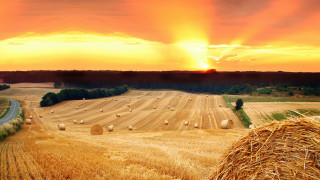 Hayfield sunset road bales landscape - a field of hay free wallpaper
