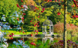 Gazebo park trees flowers pond - cherryl fountain free wallpaper