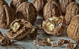 Nuts broken open food debris - a table together free wallpaper