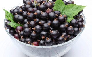 Blackberries leaves bowl white black - fluxus free wallpaper for desktop