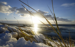 Sunshine clouds beach grass snow - a sun free wallpaper