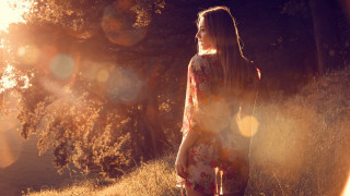 Woman field trees sunset lensflare - the background and sun free wallpaper