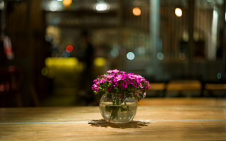 Purple flowers vase wooden table - florence engelbach free wallpaper
