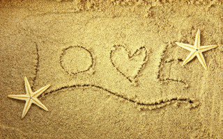 Starfish love sand american romanticism - the sand free wallpaper