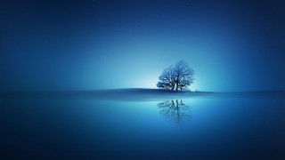 Lone tree reflection night stars - a lone tree free wallpaper