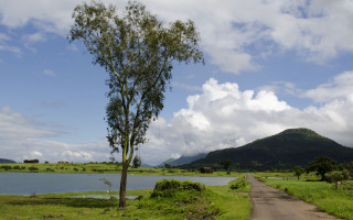 Tree lake mountains clouds sky - near free wallpaper