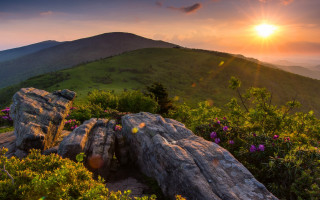 Sunset mountain rock flowers landscape - a rock formation in the foreground free wallpaper